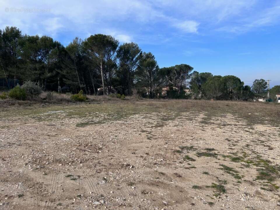 Terrain 1508 m² à Alleins  - photo 2