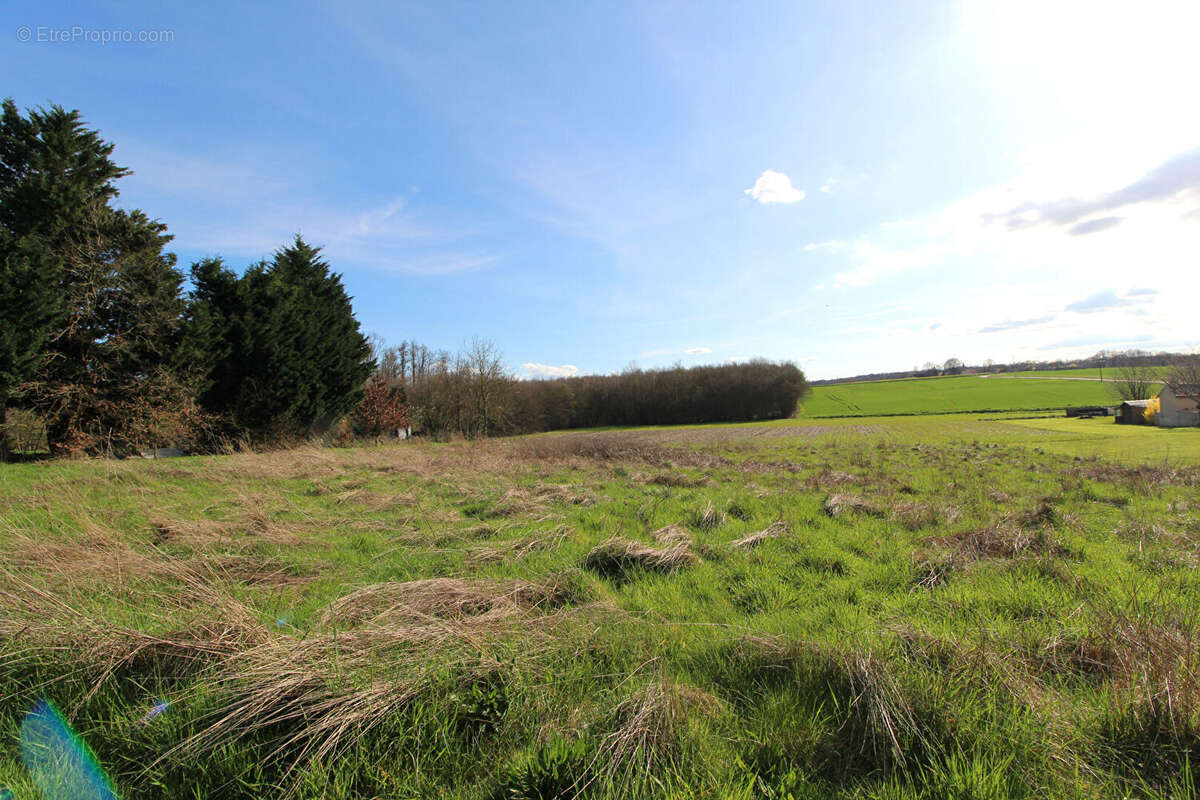 Terrain à MAGNY-MONTARLOT