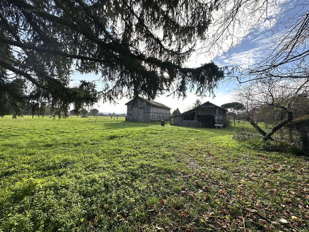 Maison à SAINTE-FOY-LA-GRANDE
