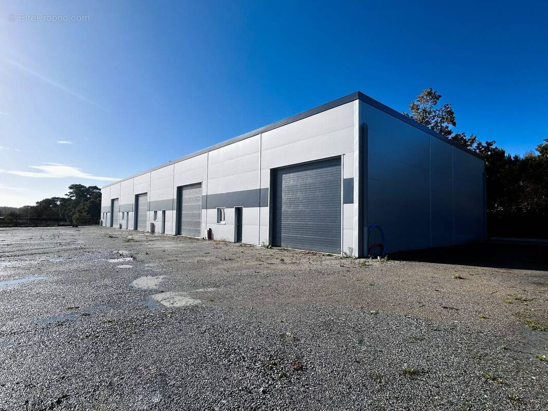 Commerce à PLOEMEUR