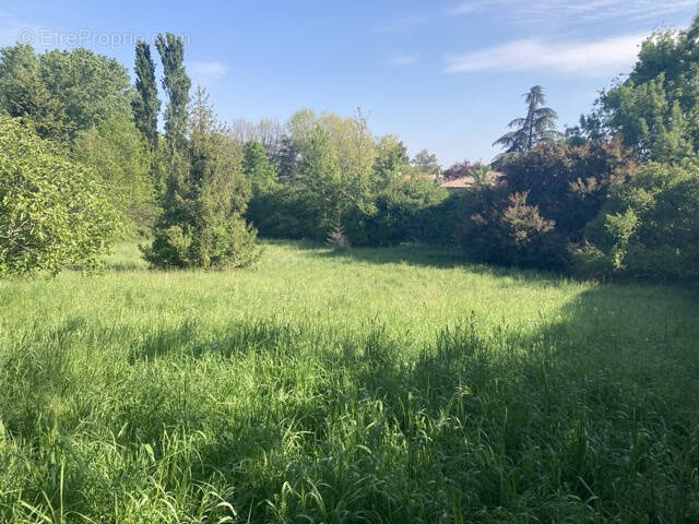 Terrain à SAINT-JEAN