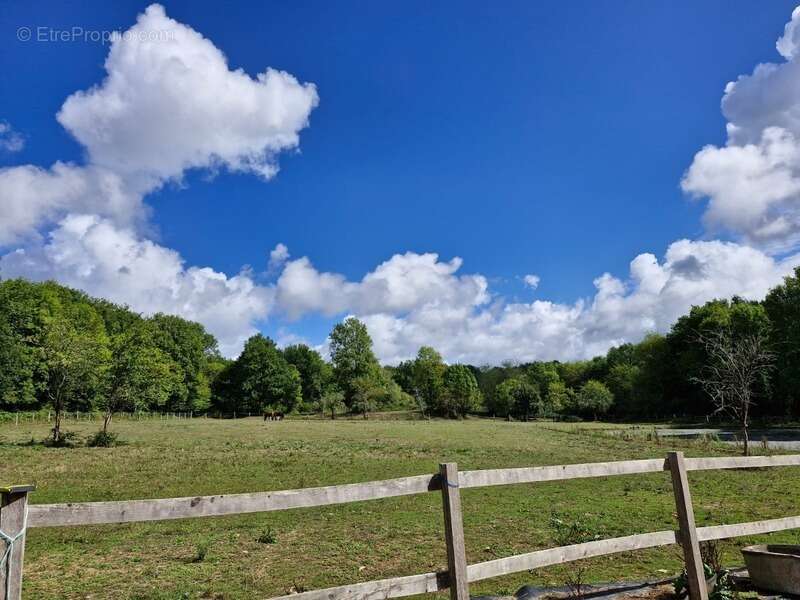  Rare à la vente – Propriété équestre en pierres  14 hectares de terrain - photo 3