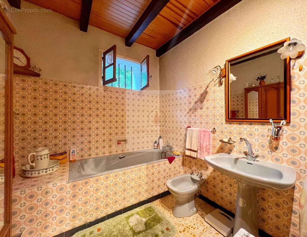 Maison à SAINT-MICHEL-DE-DEZE