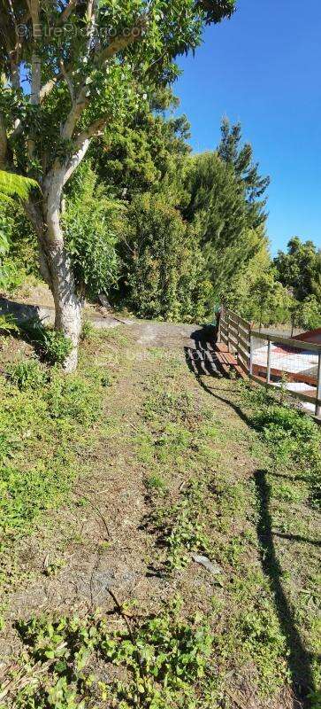  vente – domicile de charme à saint-denis (village du brûlé) - photo 13