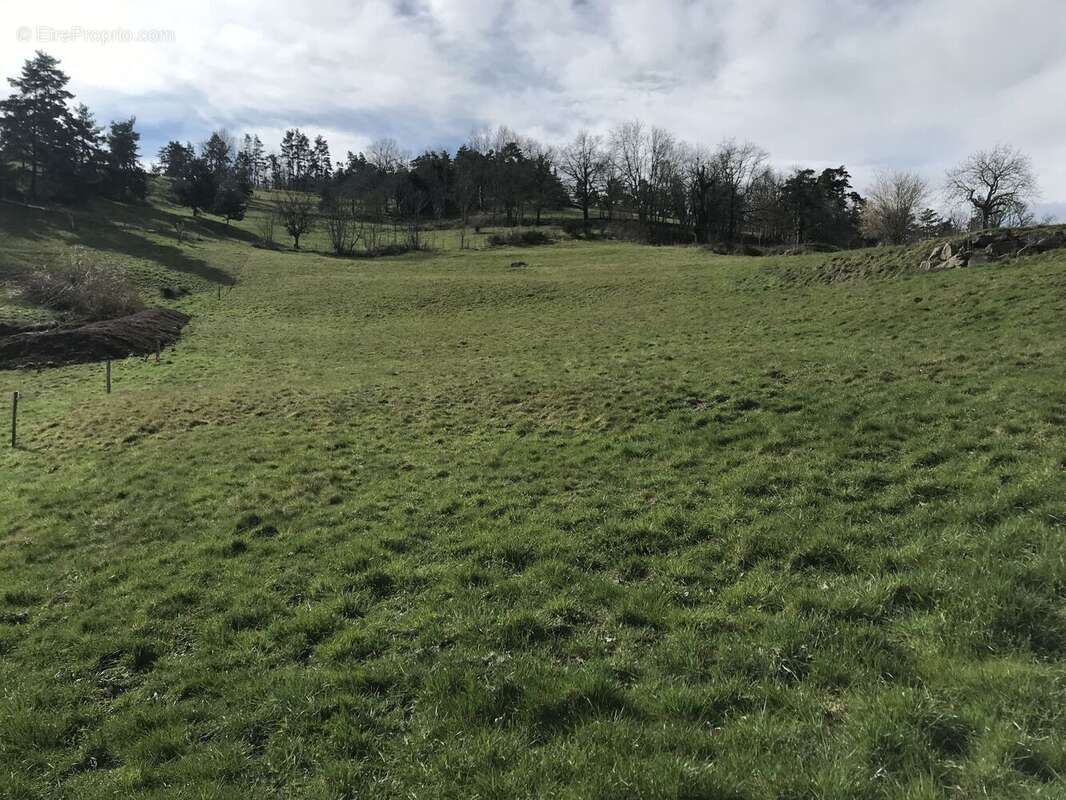Terrain à SAINT-PAUL-EN-CORNILLON