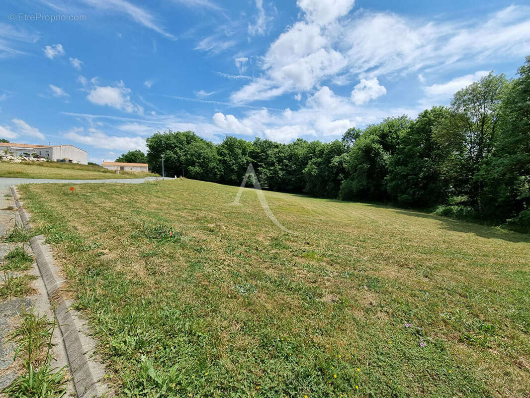 Terrain à ECOYEUX
