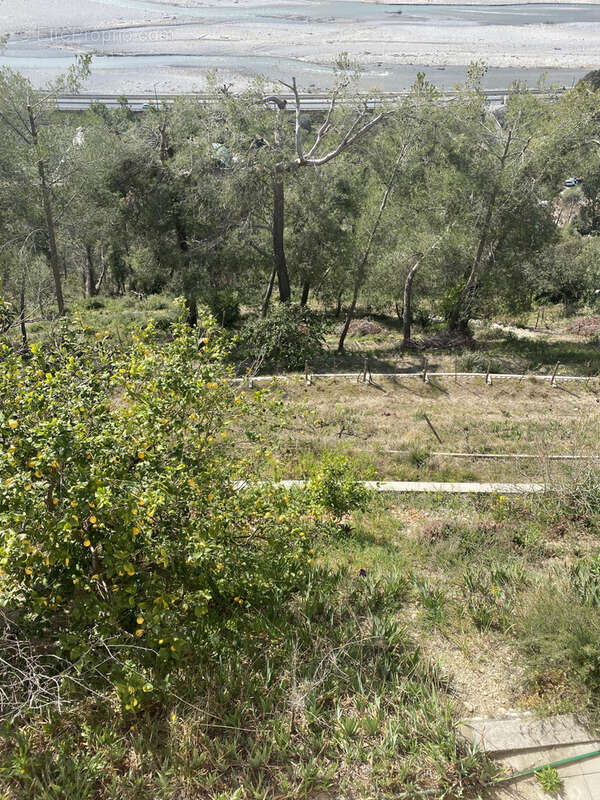 Maison à CASTAGNIERS