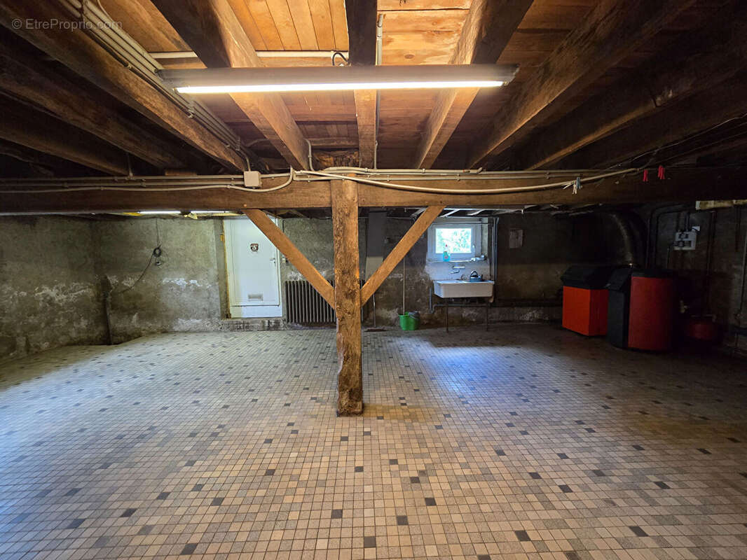 Maison 350m² à saint-aignan-grandlieu - photo 3
