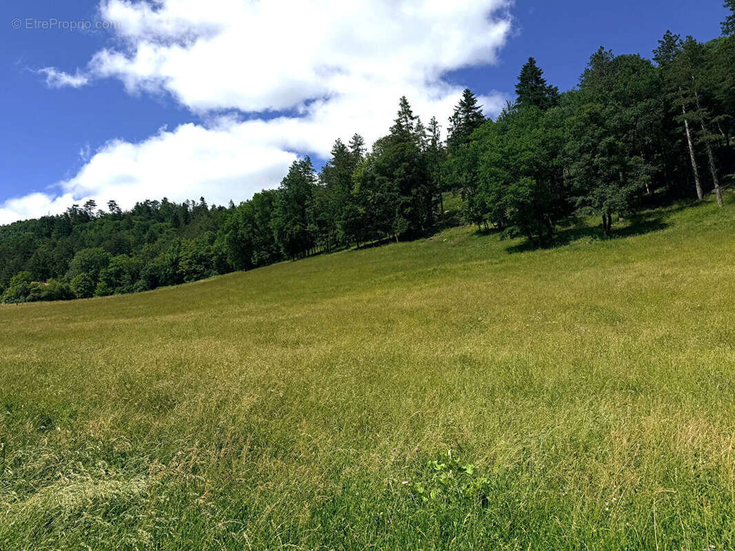 Domaine Saint Germain De Joux  ancienne ferme de 273 m2 sur 21 ha - photo 18