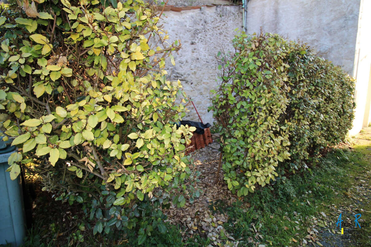 Centre ville meschers-sur-gironde - photo 10