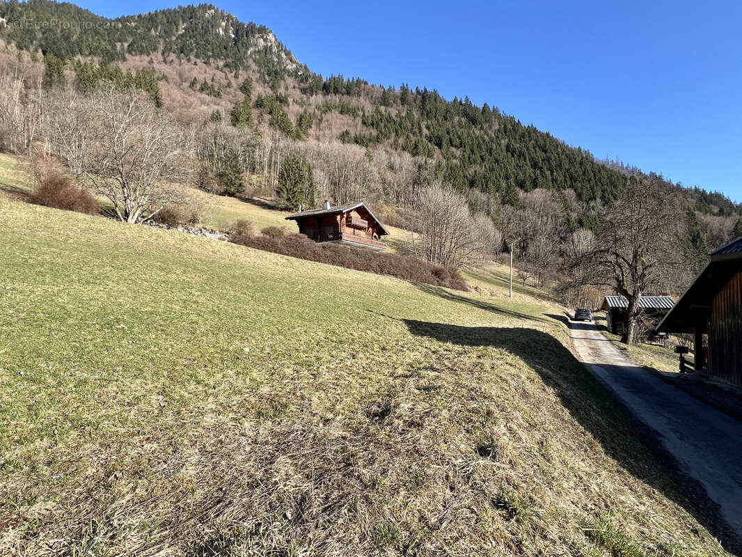 Terrain à SAINT-JEAN-D'AULPS