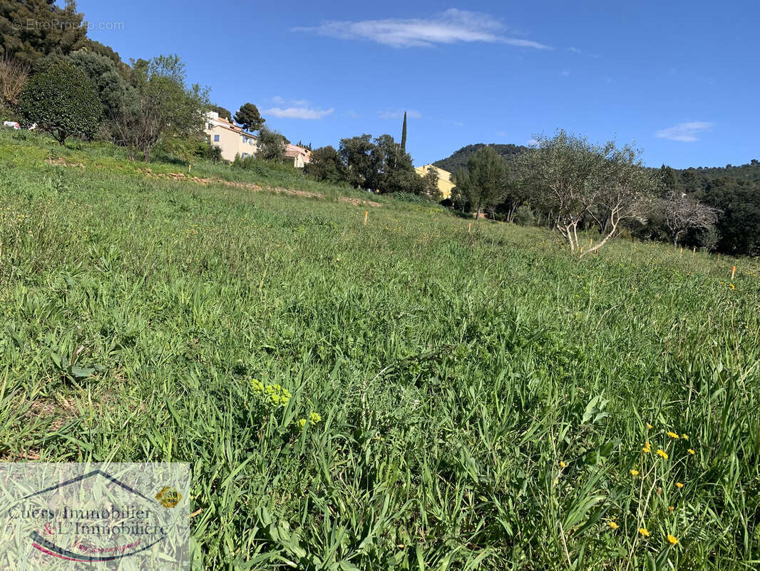 Terrain à LE PRADET