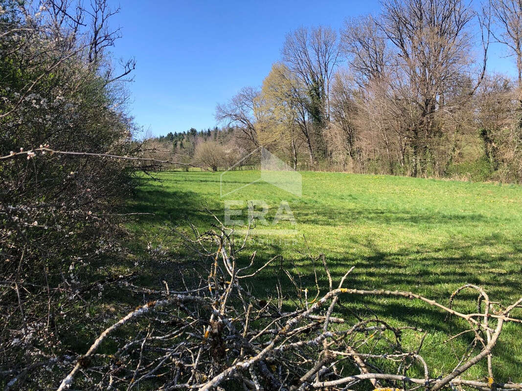Terrain à ANDELOT-EN-MONTAGNE
