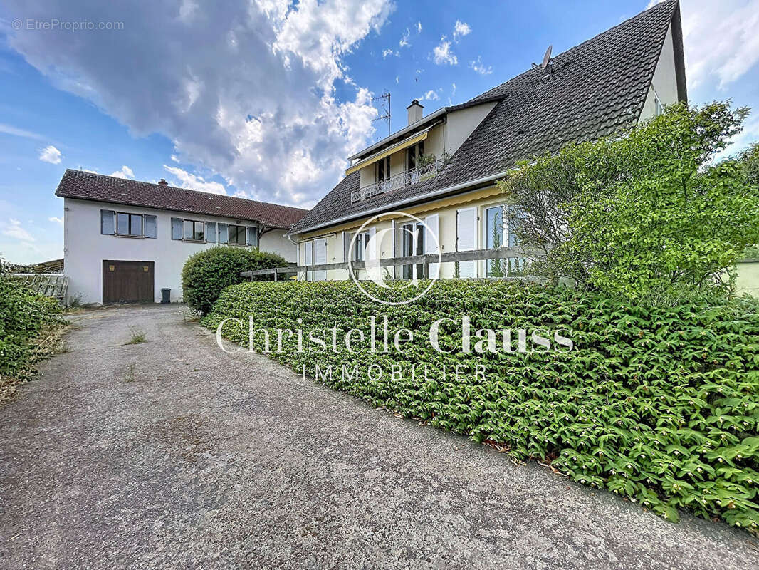Maison Saint Hippolyte 217 m2 - photo 3