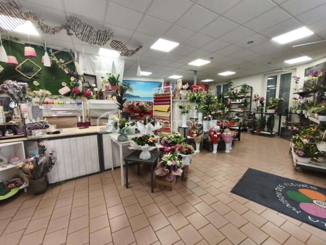 Appartement à MONTMIRAIL