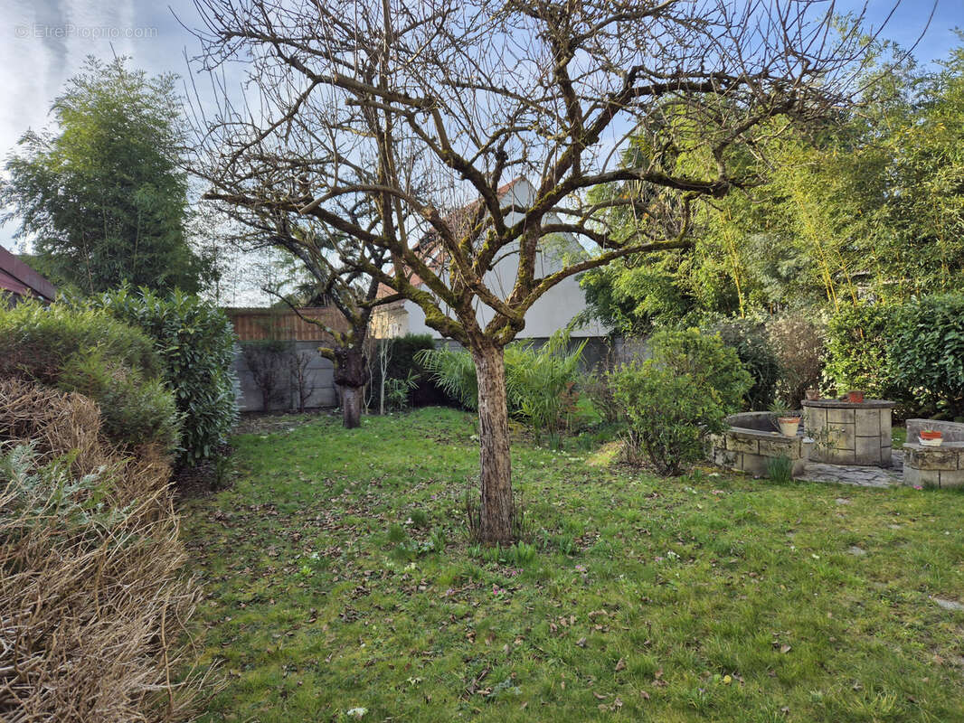 Maison à TREMBLAY-EN-FRANCE