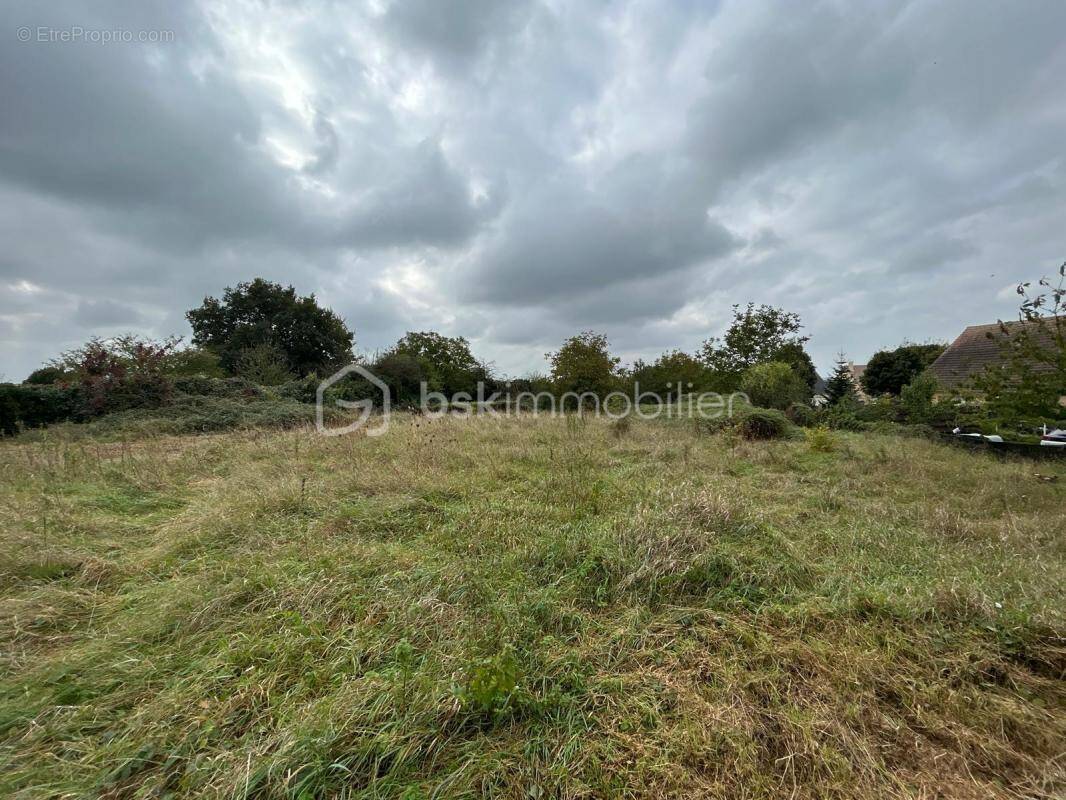 Terrain à BRAINS-SUR-GEE