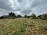 Terrain à BRAINS-SUR-GEE