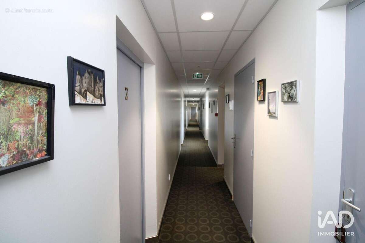 Photo 8 - Commerce à CHAUMONT-SUR-LOIRE