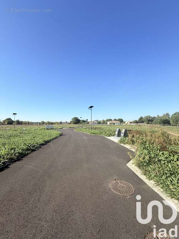 Photo 4 - Terrain à MONTAUBAN