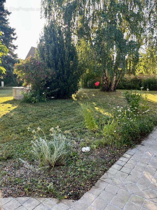 Maison 315 m² à Abbecourt  - photo 15