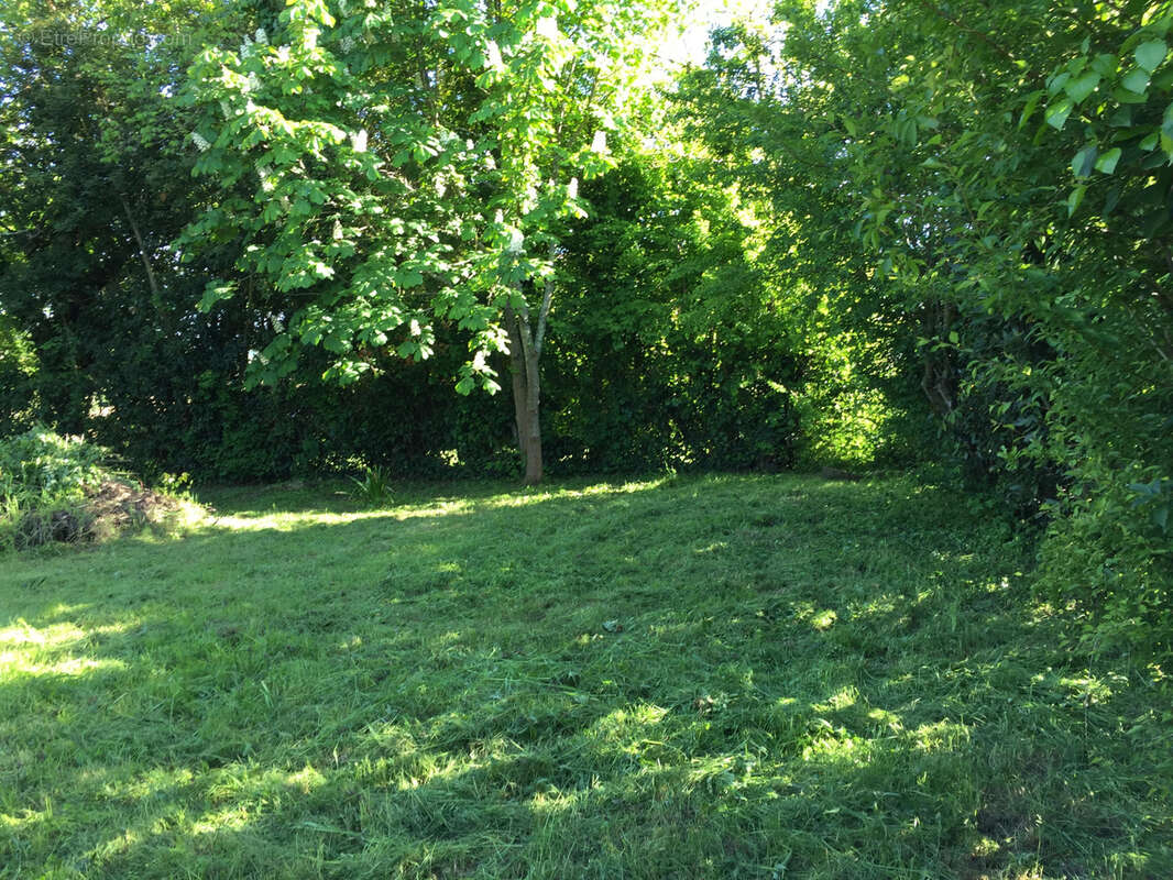 Terrain à SEISSAN