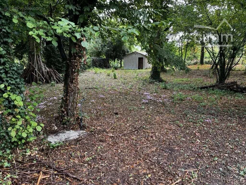 Terrain constructible - photo 2