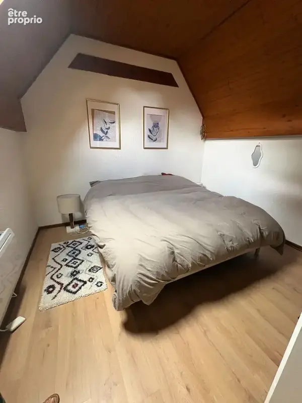 Appartement La Roche Sur Foron 3 pièce(s) 47 m² habitables - photo 8
