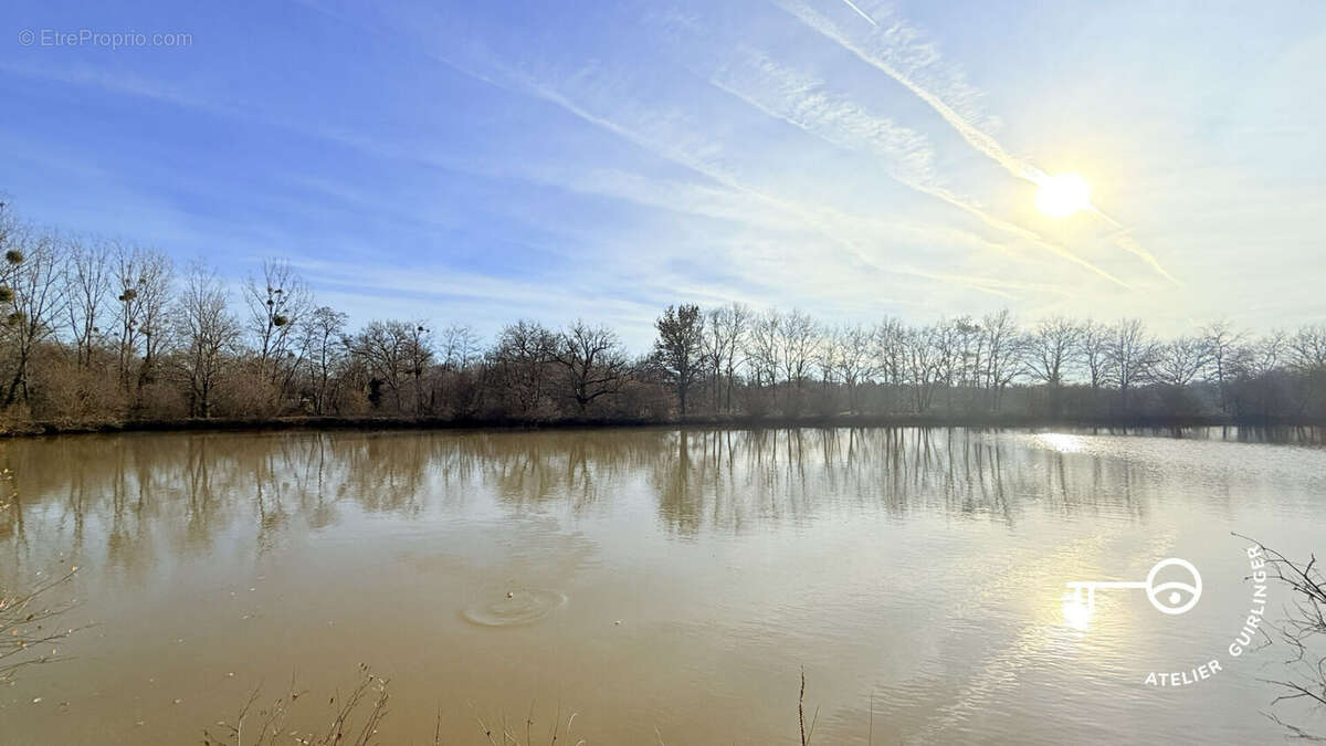Terrain à NEUNG-SUR-BEUVRON