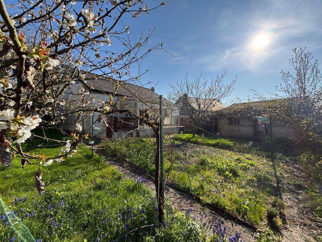 Maison à THOUARE-SUR-LOIRE