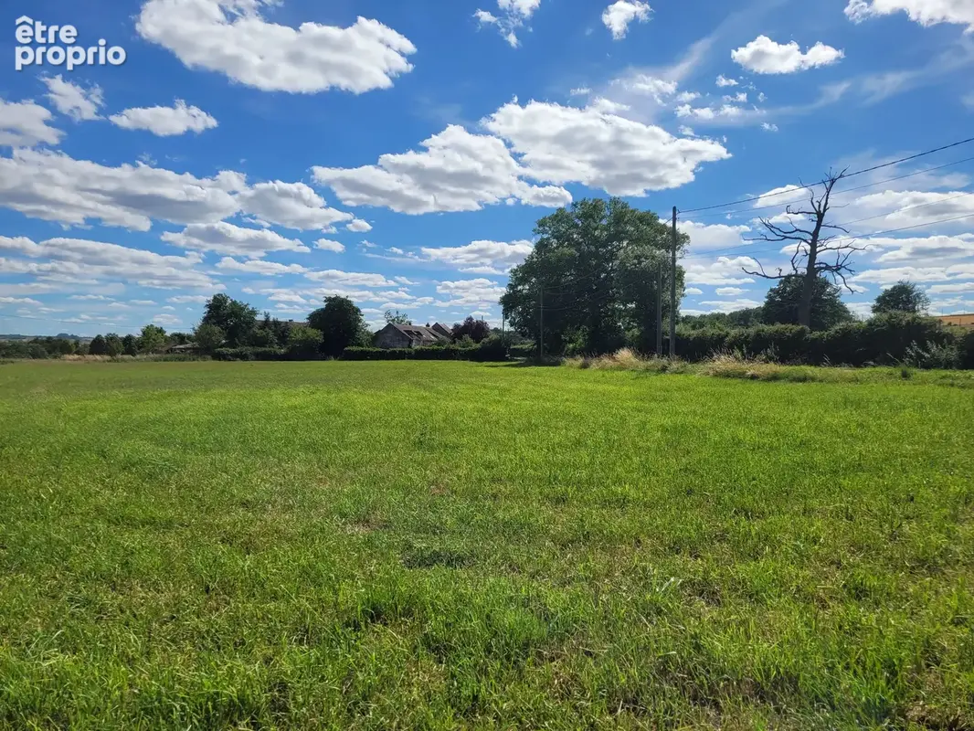 Terrain plat constructible de 2 000 m² à Chantelle - photo 4