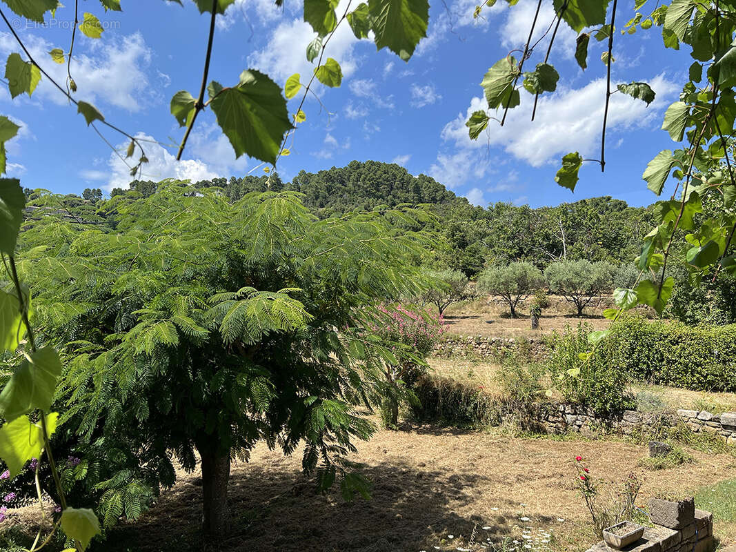 Une demeure rurale en 4 logements avec 6,34 ha de terrain et deux sources. - photo 5