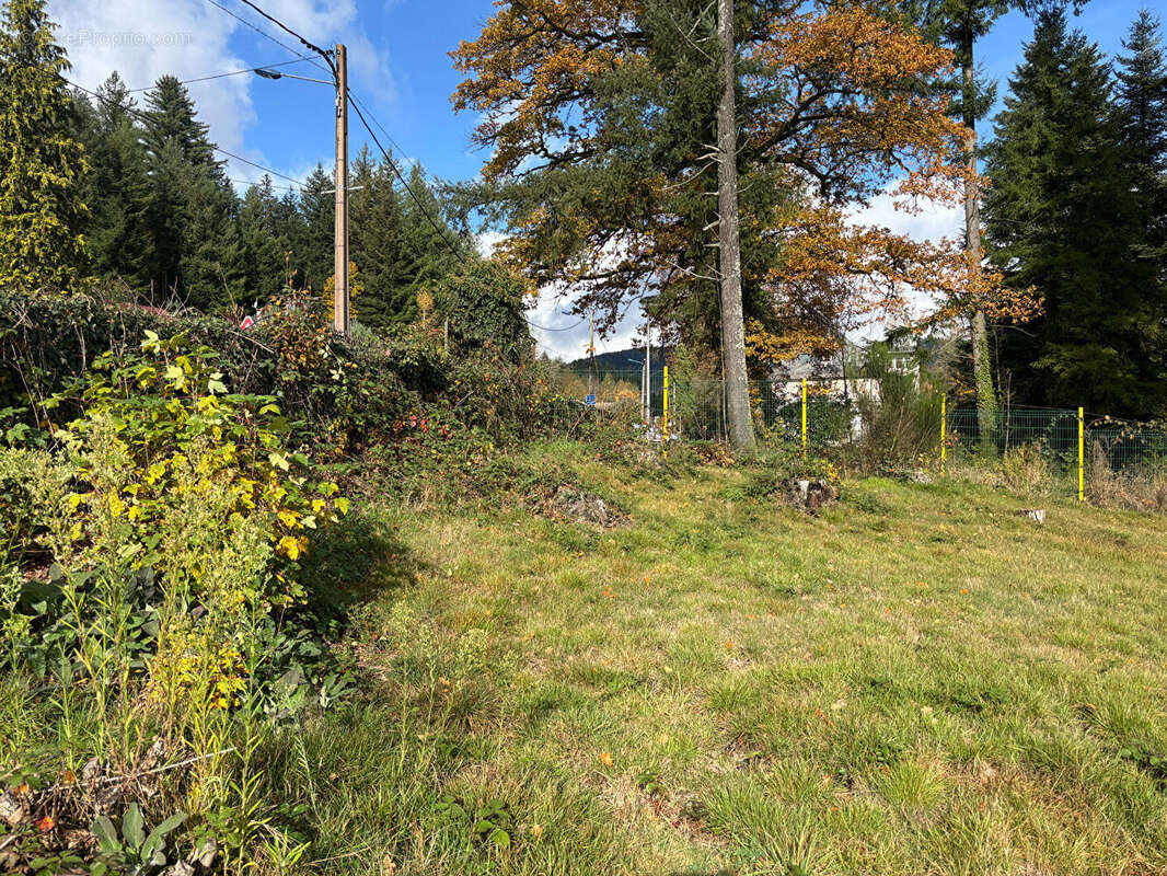 Terrain à SAINT-AME