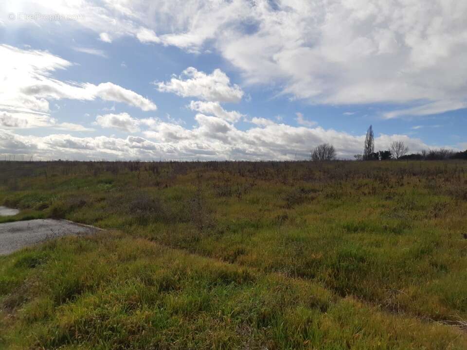 Terrain à SAINT-JEAN