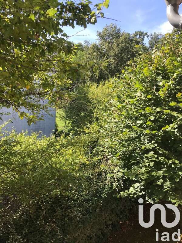 Photo 6 - Appartement à COLOMIERS