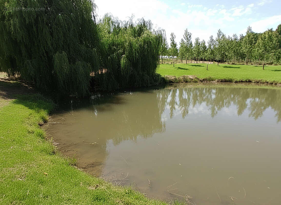 Ancienne propriété agricole avec dépendances au calme - photo 16