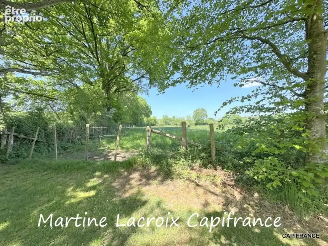 Dpt SARTHE (72), à vendre SAINT GEORGES DU ROSAY - PROPRIÉTÉ  P7 de 163 m² - Terrain de 3,04 Ha - photo 28