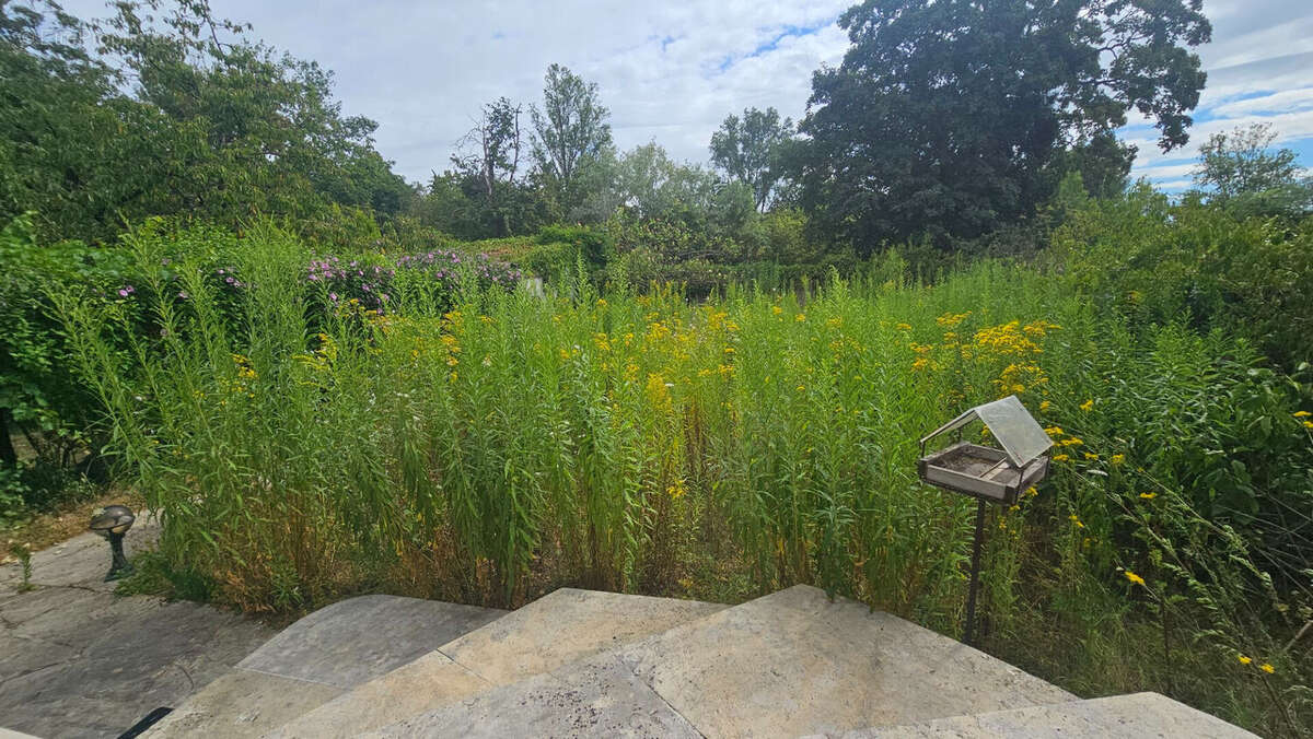 Maison meuilière avec jardin Polangis - photo 16