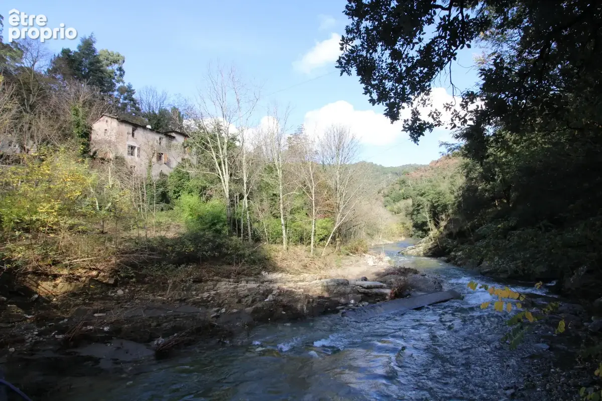 MAS 360 de volume + 25 hectares. - photo 31