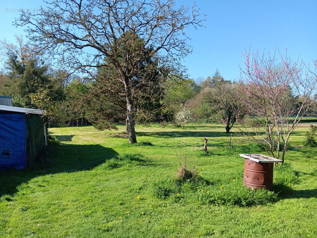 Terrain à SAINT-BARTHELEMY