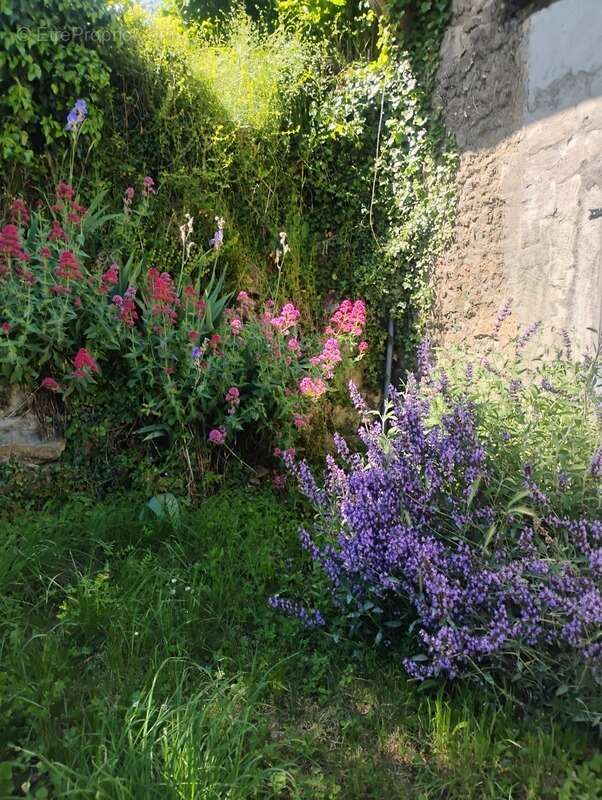 Ideal résidence secondaire entre Cluny et Charolles pour amoureux de la nature - photo 4
