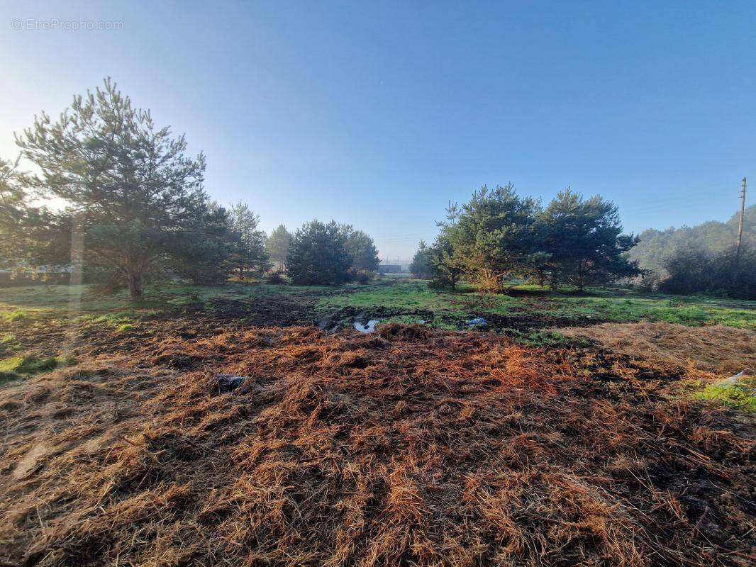 Terrain à CHATILLON-SUR-CHER