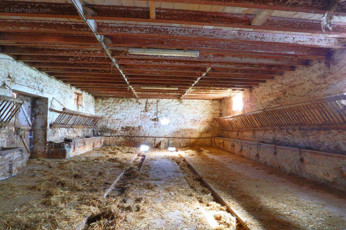 EXCLUSIF Propriete agricole avec 7 hectares possible 70 hectares en location - photo 4