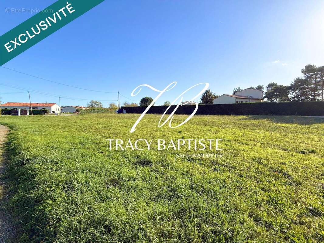 Photo 2 - Terrain à VILLEMATIER
