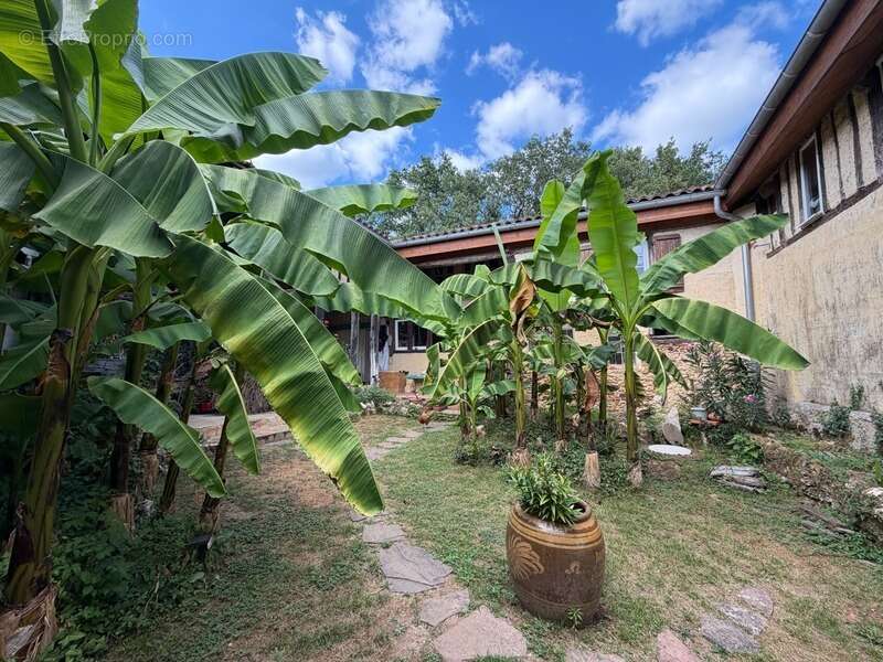 Domaine plein de charme de 250M2 avec dépendances, gîtes dans un écrin de verdure Proche de MONT DE MARSAN au HOUGA - photo 15