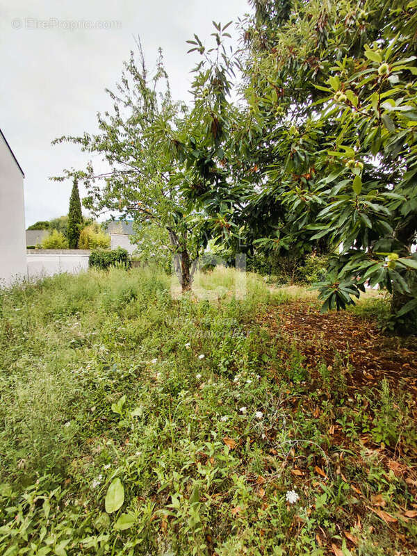 Terrain à SAINTE-LUCE-SUR-LOIRE