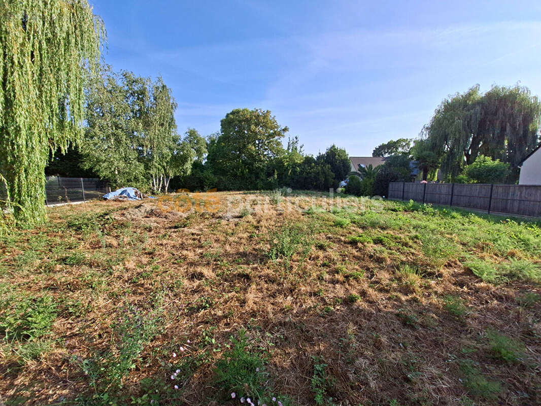 Terrain à bâtir -769 m² - CANCALE - photo 3