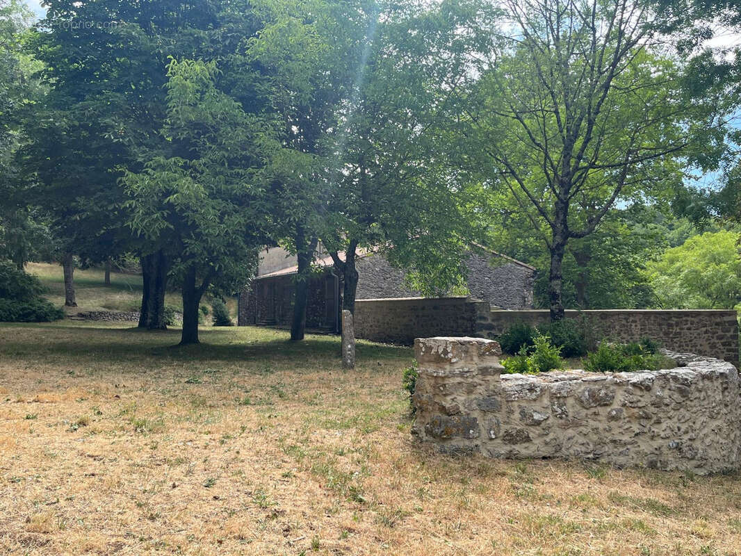 Haute Corbières - 20min de Limoux - Propriété d’Exception avec 98 ha de Forêt et Dépendances - photo 15