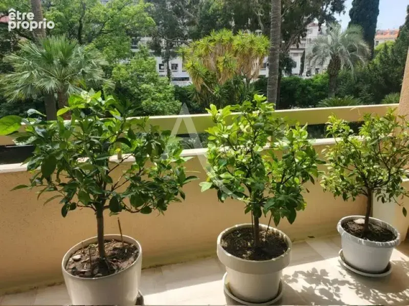 Limite Banane superbe studio avec terrasse sud - photo 10