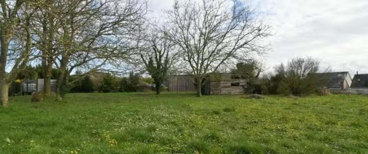 Photo 3 - Terrain à BRISSAC-QUINCE